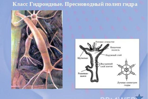 Ссылка на сайт кракен в тор